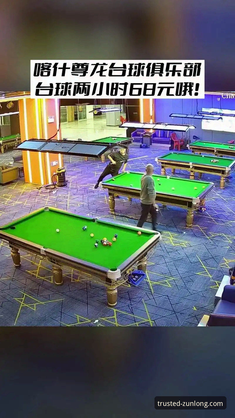 世界杯排名变化解读：通过尊龙体育平台追踪赛事数据操作教程